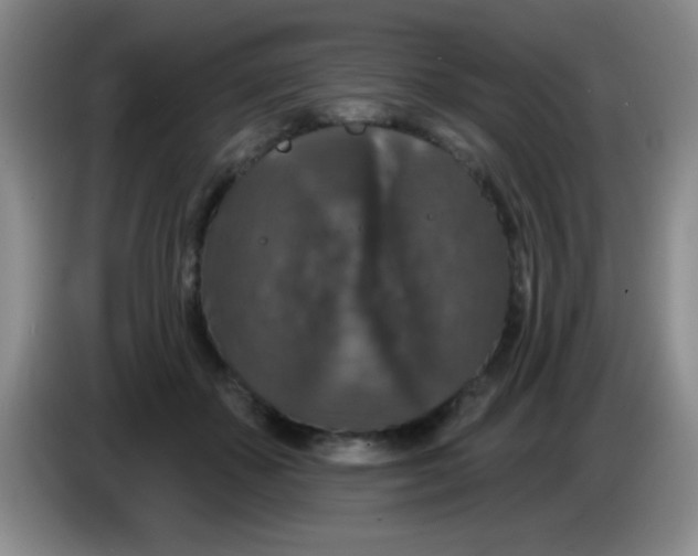 X0000083570507200703091640
