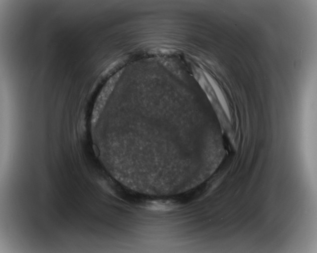 X0000083570508200703091640
