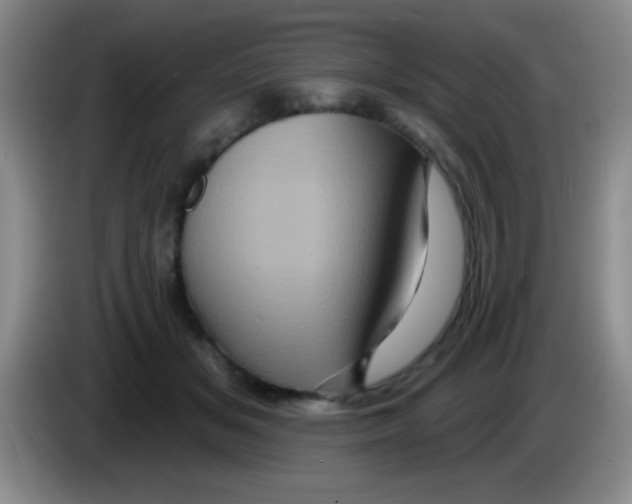 X0000083570509200703091640