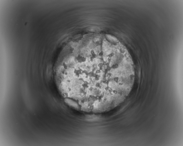 X0000083570511200703091640