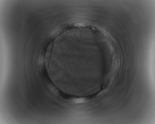 X0000083570513200703091640