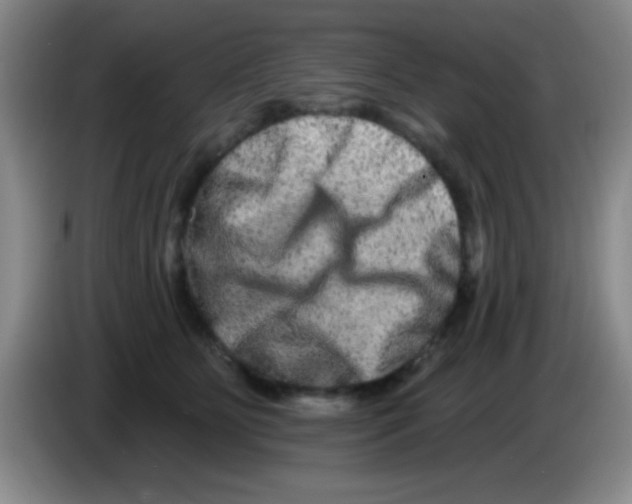 X0000083570515200703091640