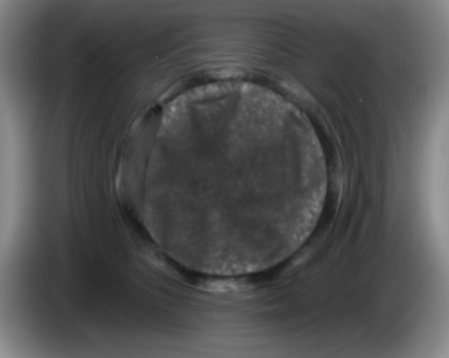 X0000083570516200703091640