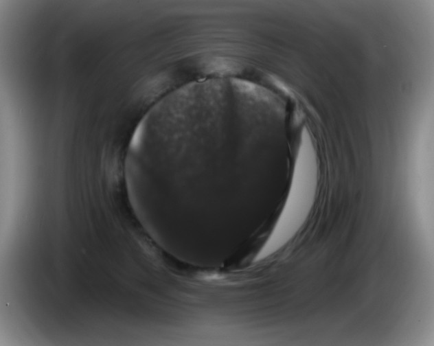 X0000083570517200703091640