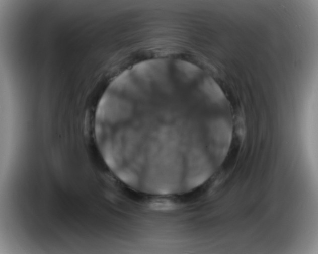 X0000083570519200703091640