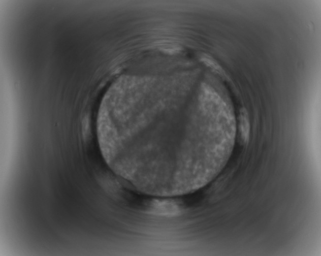 X0000083570520200703091640
