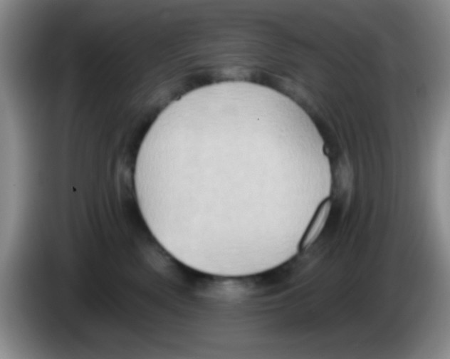 X0000083570522200703091640