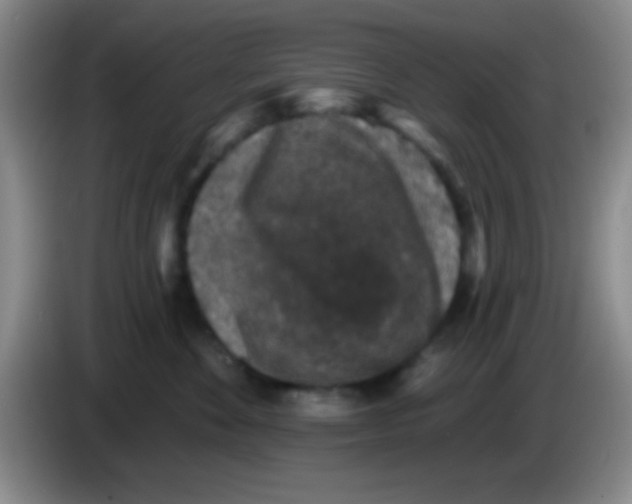 X0000083570524200703091640