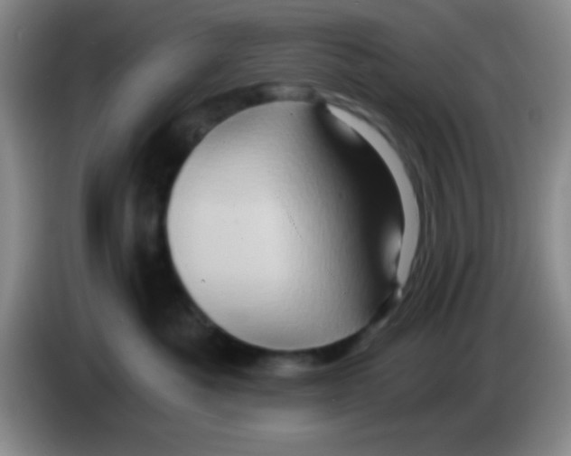 X0000083570525200703091640