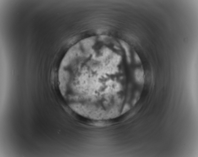X0000083570527200703091640