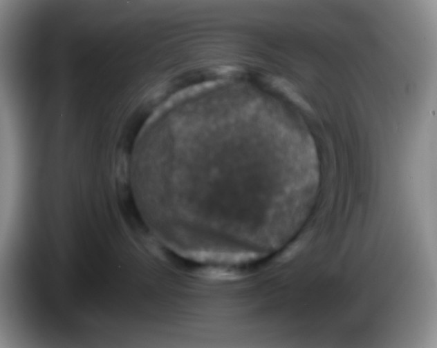 X0000083570528200703091640