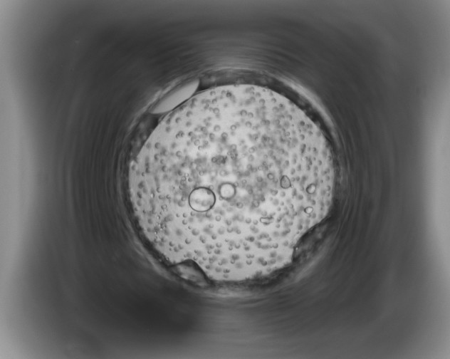 X0000083570529200703091639