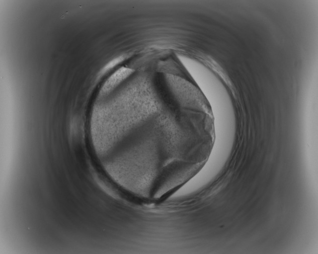 X0000083570530200703091639