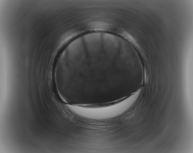 X0000083570531200703091639