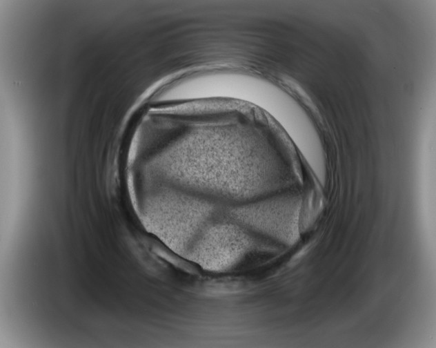 X0000083570532200703091639