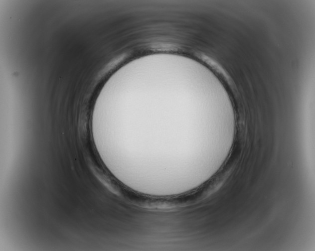 X0000083570533200703091639