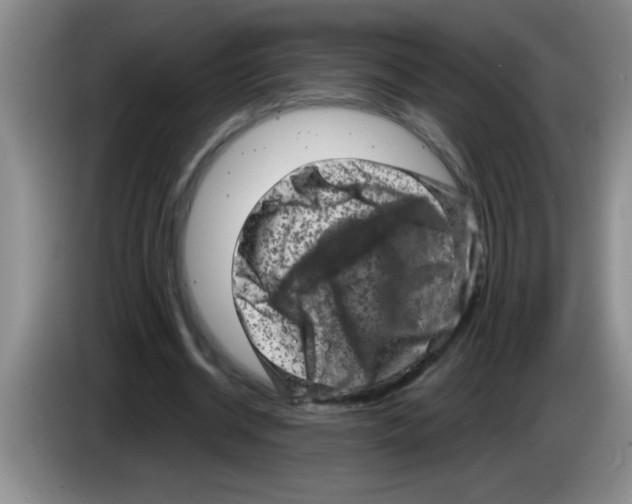 X0000083570534200703091639
