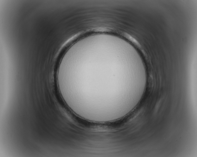 X0000083570535200703091639