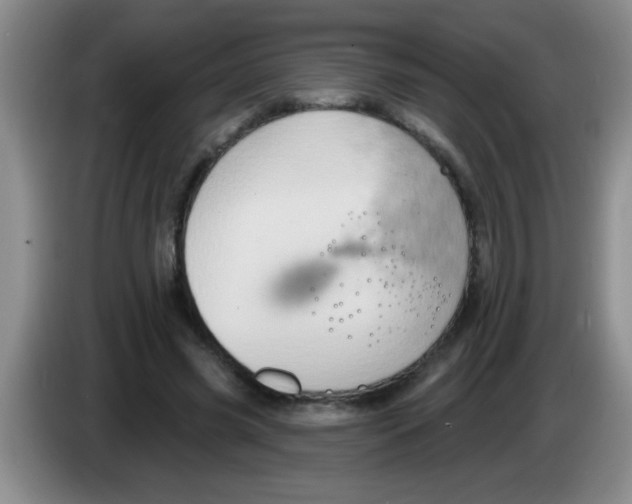 X0000083570541200703091639