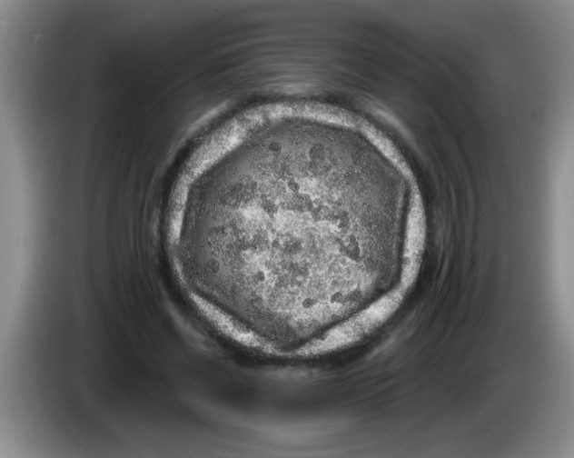 X0000083570542200703091639