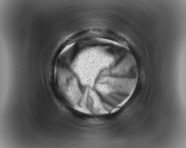 X0000083570544200703091640