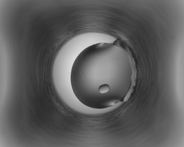 X0000083570546200703091640