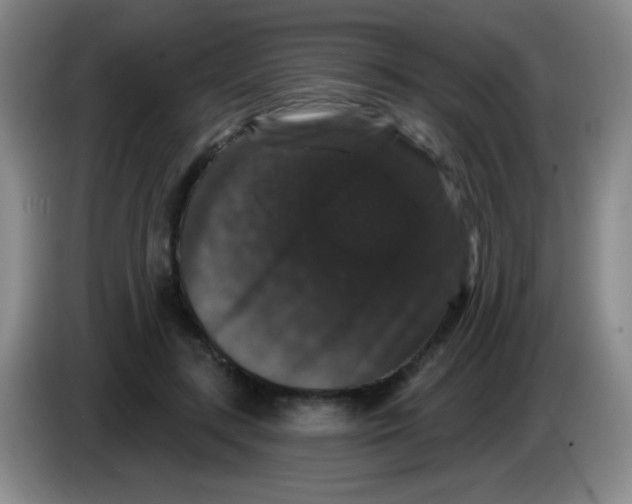 X0000083570547200703091640