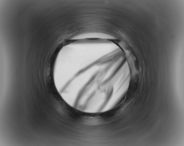 X0000083570548200703091640