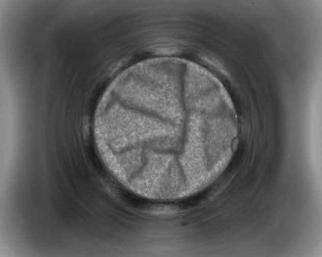 X0000083570549200703091640