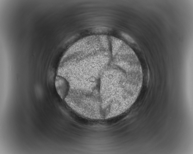 X0000083570550200703091640