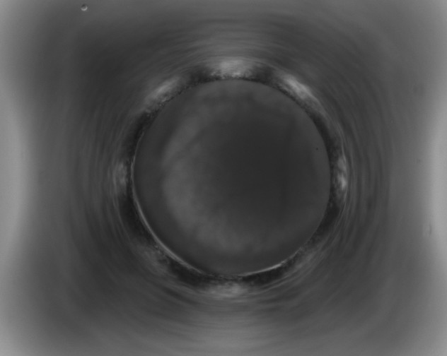 X0000083570551200703091640