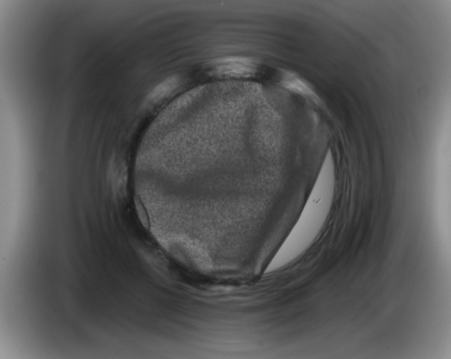 X0000083570552200703091640