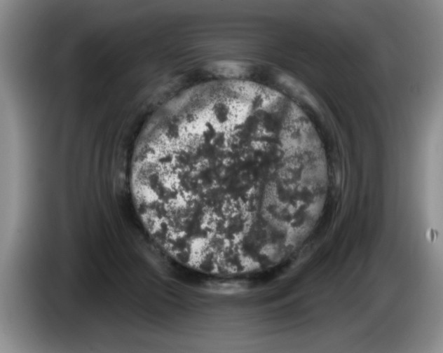 X0000083570553200703091640