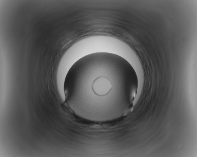 X0000083570556200703091640