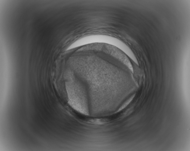 X0000083570558200703091640