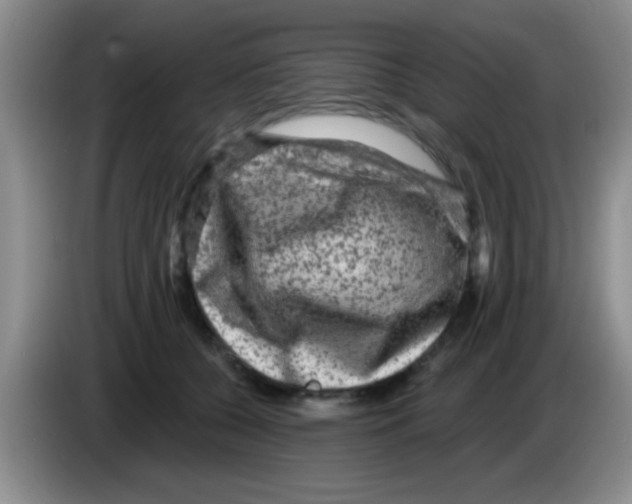 X0000083570560200703091640