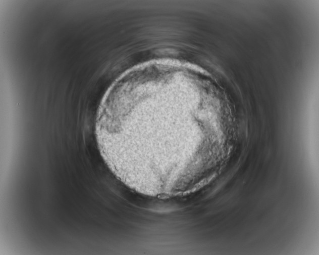 X0000083570561200703091640