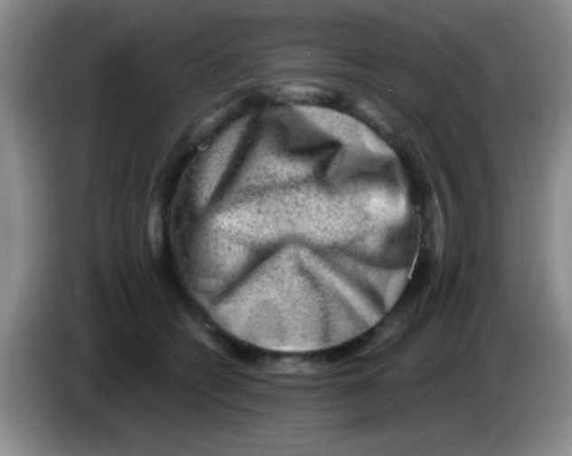 X0000083570562200703091640