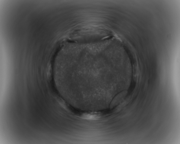 X0000083570563200703091640