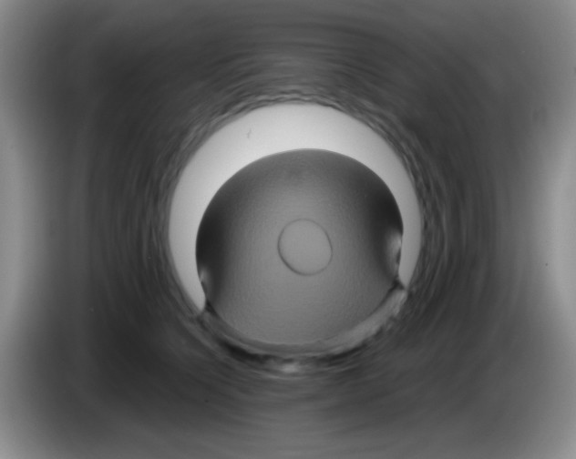 X0000083570564200703091640