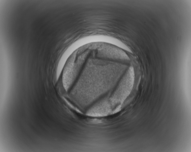 X0000083570566200703091640