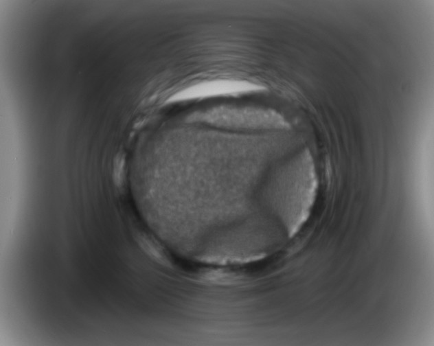 X0000083570568200703091640