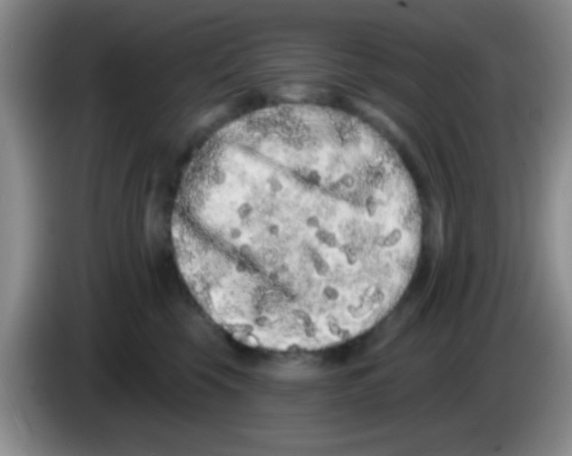 X0000083570569200703091640