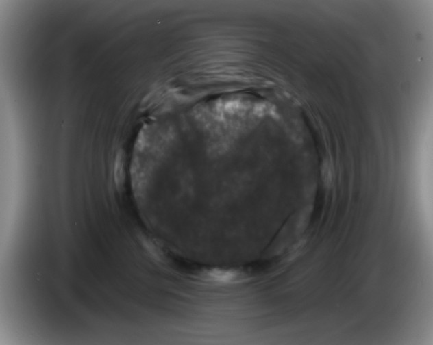 X0000083570570200703091640