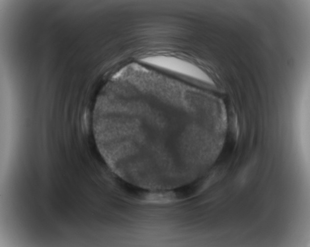 X0000083570571200703091640
