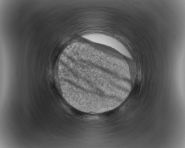 X0000083570572200703091640