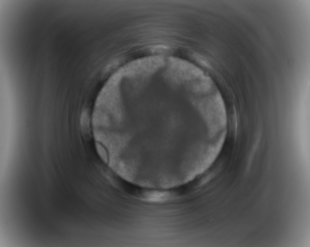 X0000083570575200703091640
