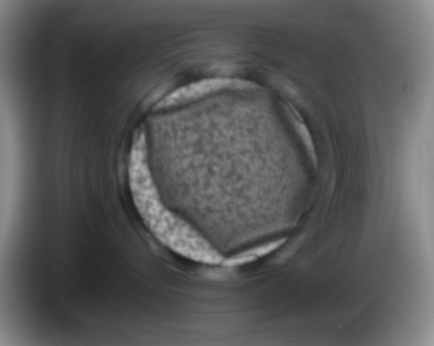 X0000083570576200703091640