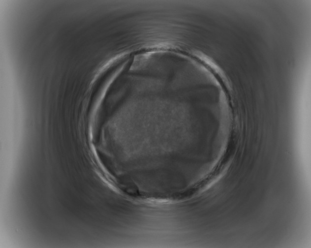X0000083570577200703091639