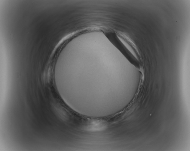 X0000083570579200703091639
